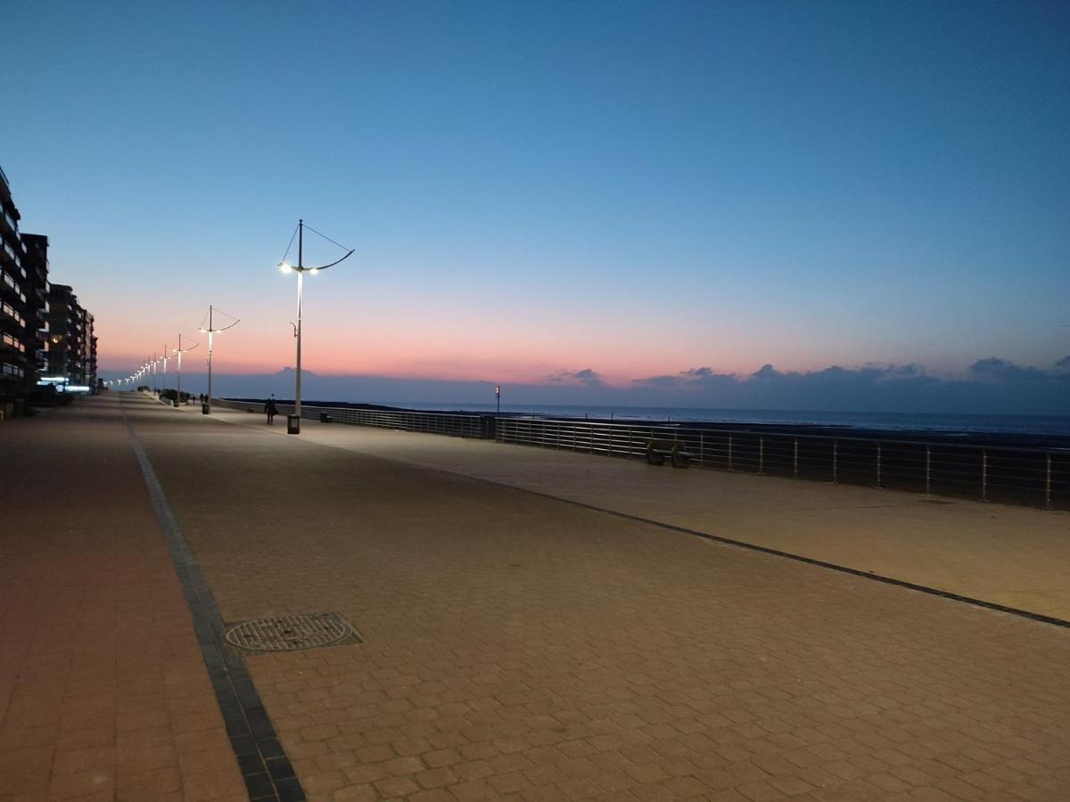 Zilverzand Aan Zee - Frontaal Zeezicht ก๊กไซเดอ ภายนอก รูปภาพ